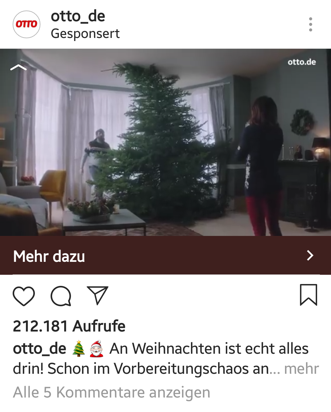 生木のクリスマスツリーの種類と扱い方 ドイツ子育て生活